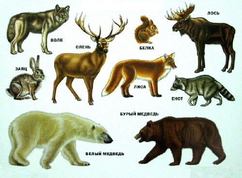 ел фасыллары турында табышмаклар